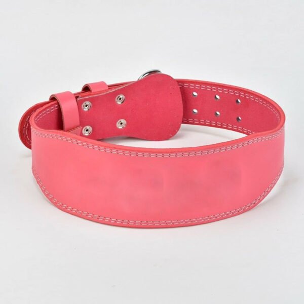 Weight Lifting Belts